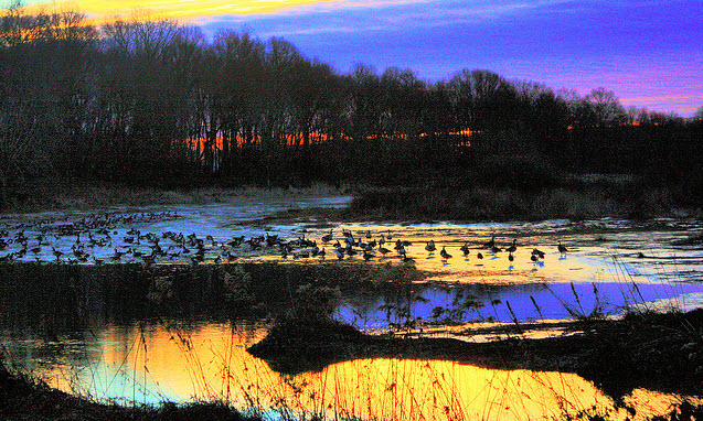 Plainsboro Preserve Early Morning